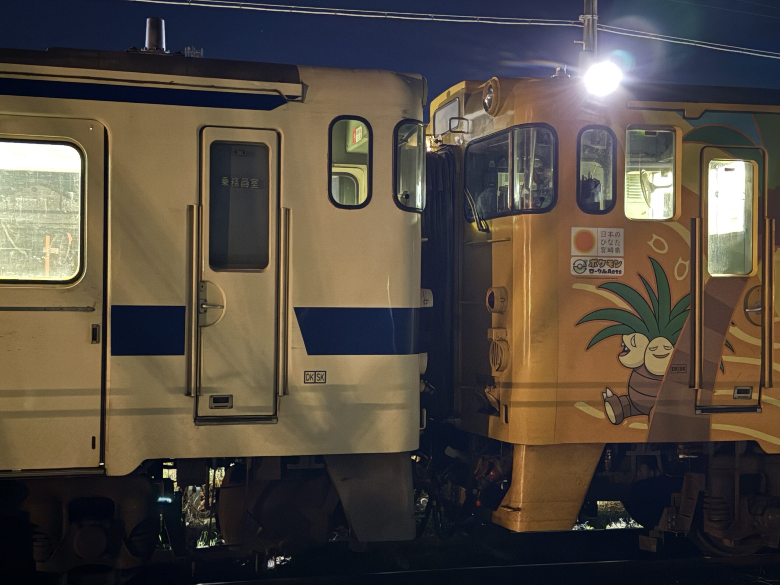 キハ40 8099 8054 志布志駅 2両編成 日南線