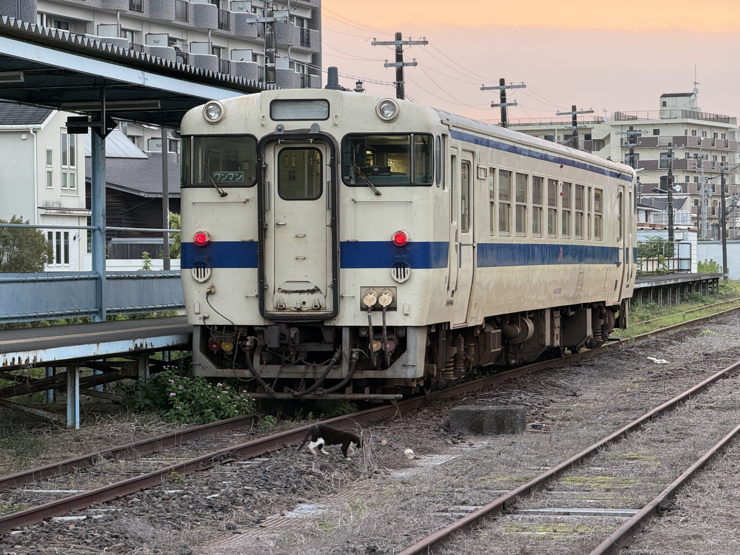 志布志駅 キハ40 8100 蒸し暑い朝 25.4℃ ロールカーテン 人影なし