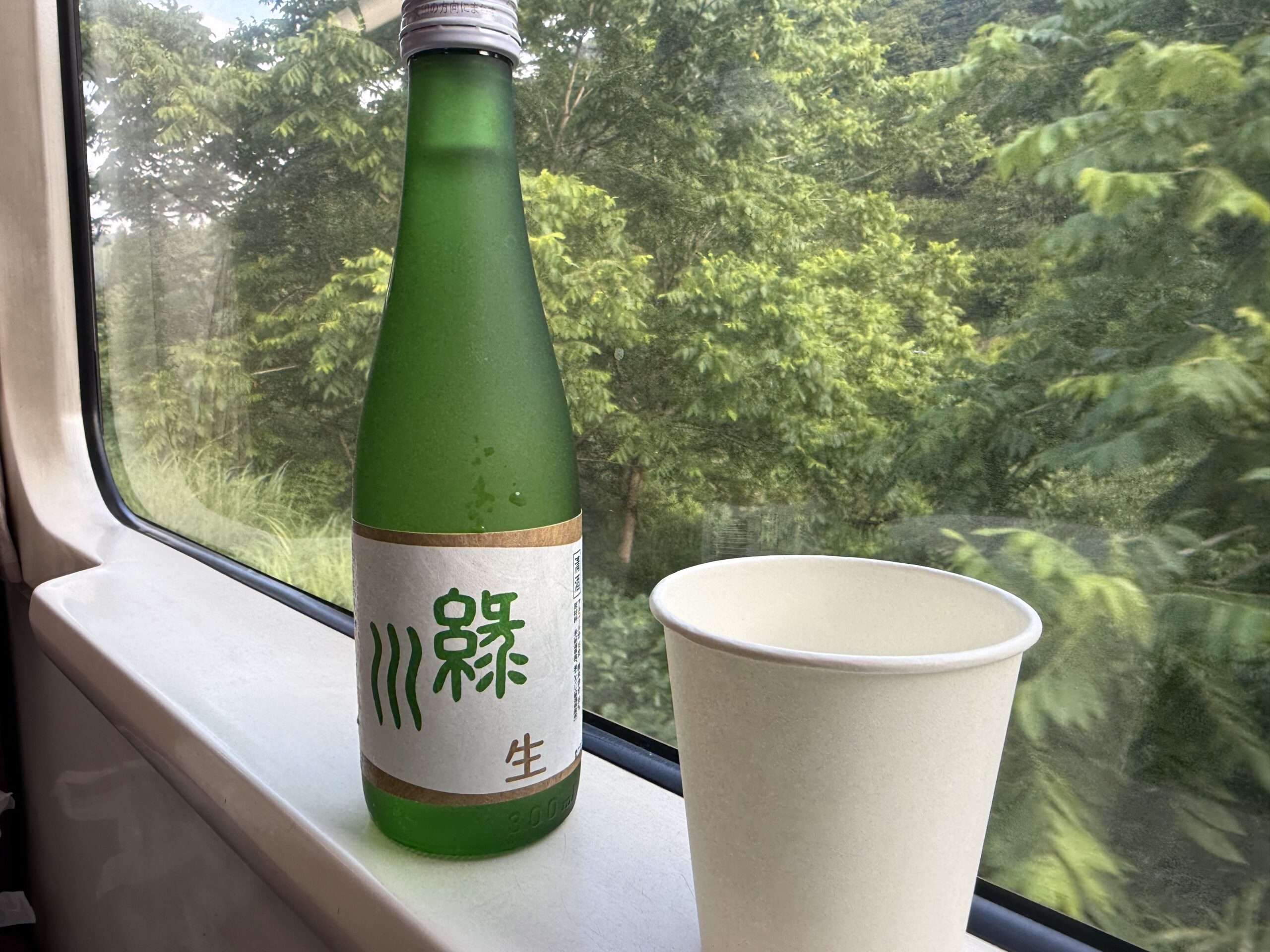 只見線 前半区間 車窓 山間部の緑