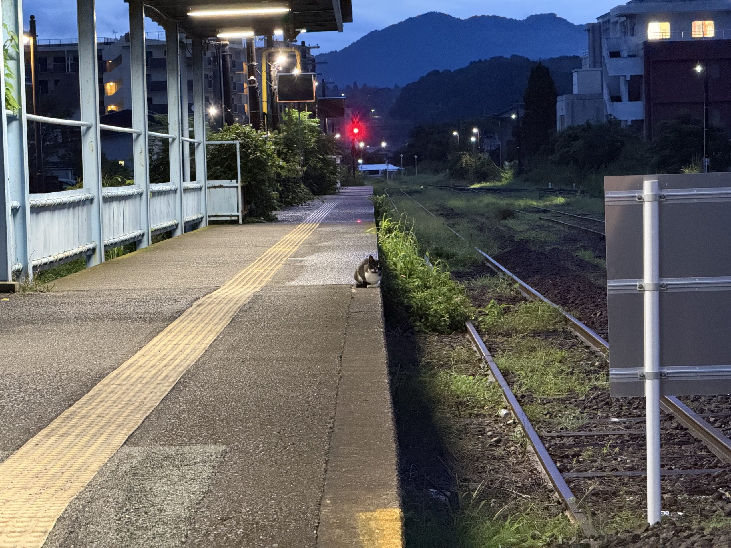 志布志駅 22.8℃ 霧雨 車両なし 運転見合わせ