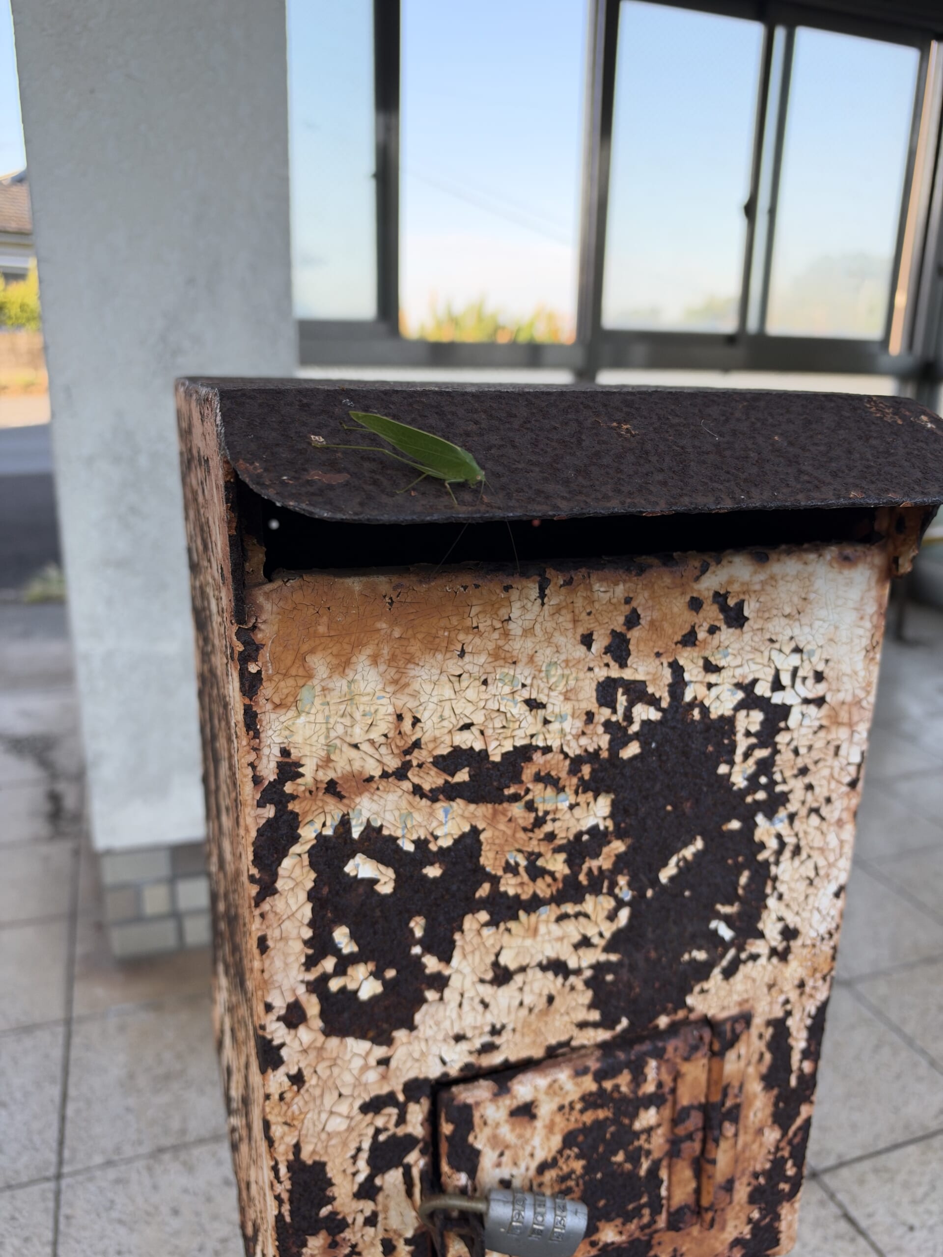 駅構内の古い設備の上にとまる緑色の昆虫