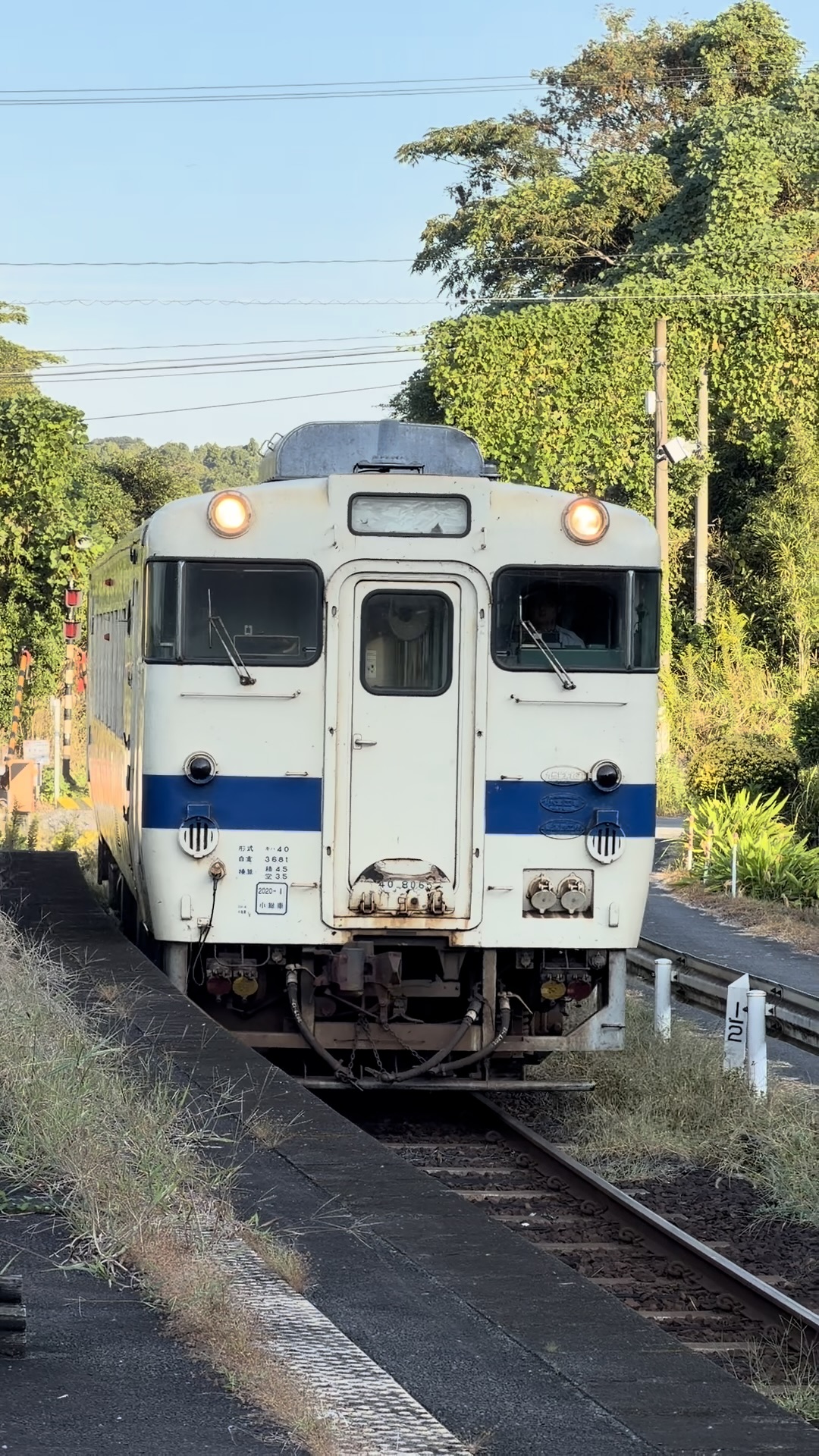 大隅夏井駅に停車するキハ40。白地に青帯の車体。